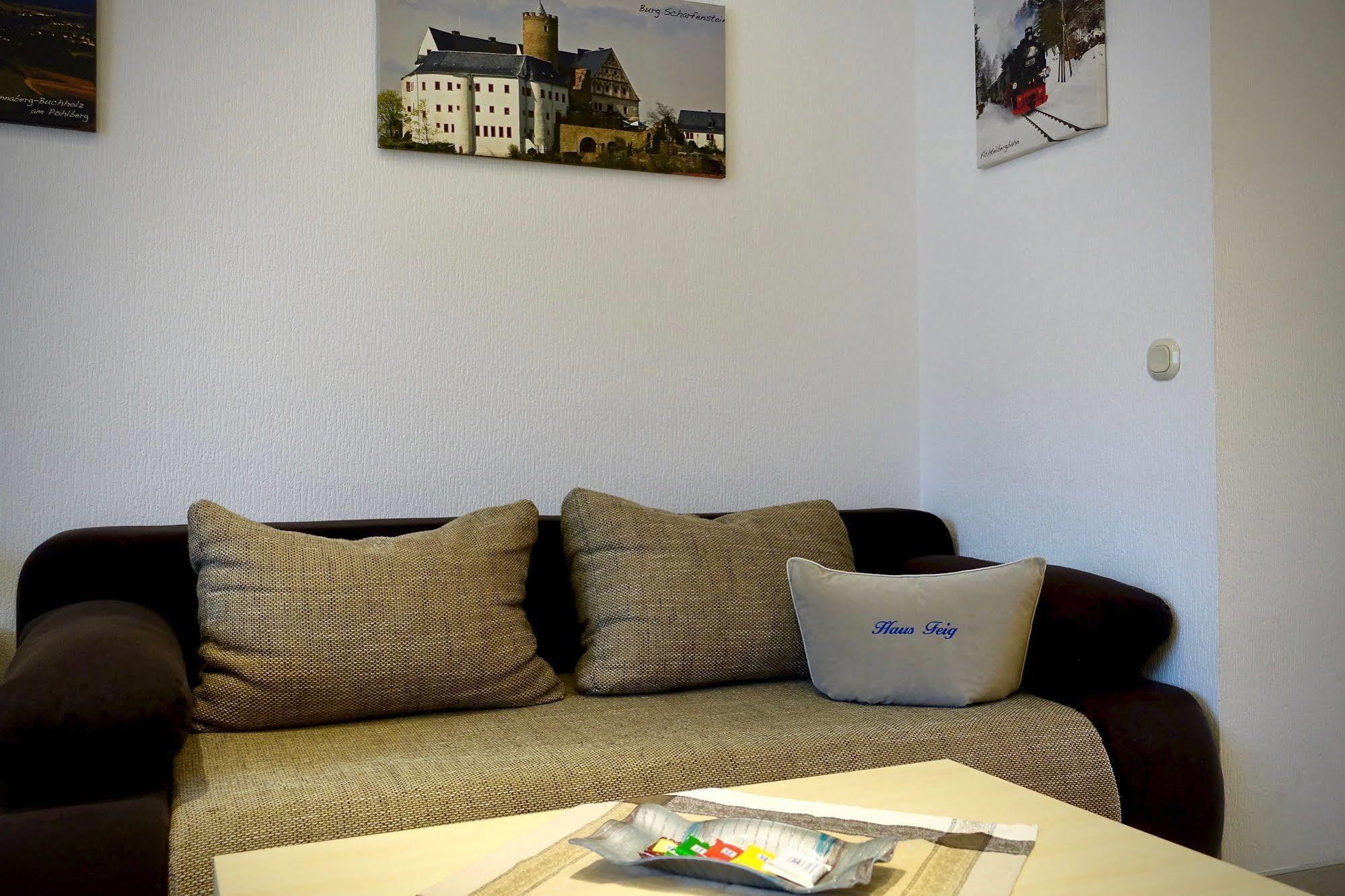 Ferienwohnung Haus Feig Geyer Экстерьер фото