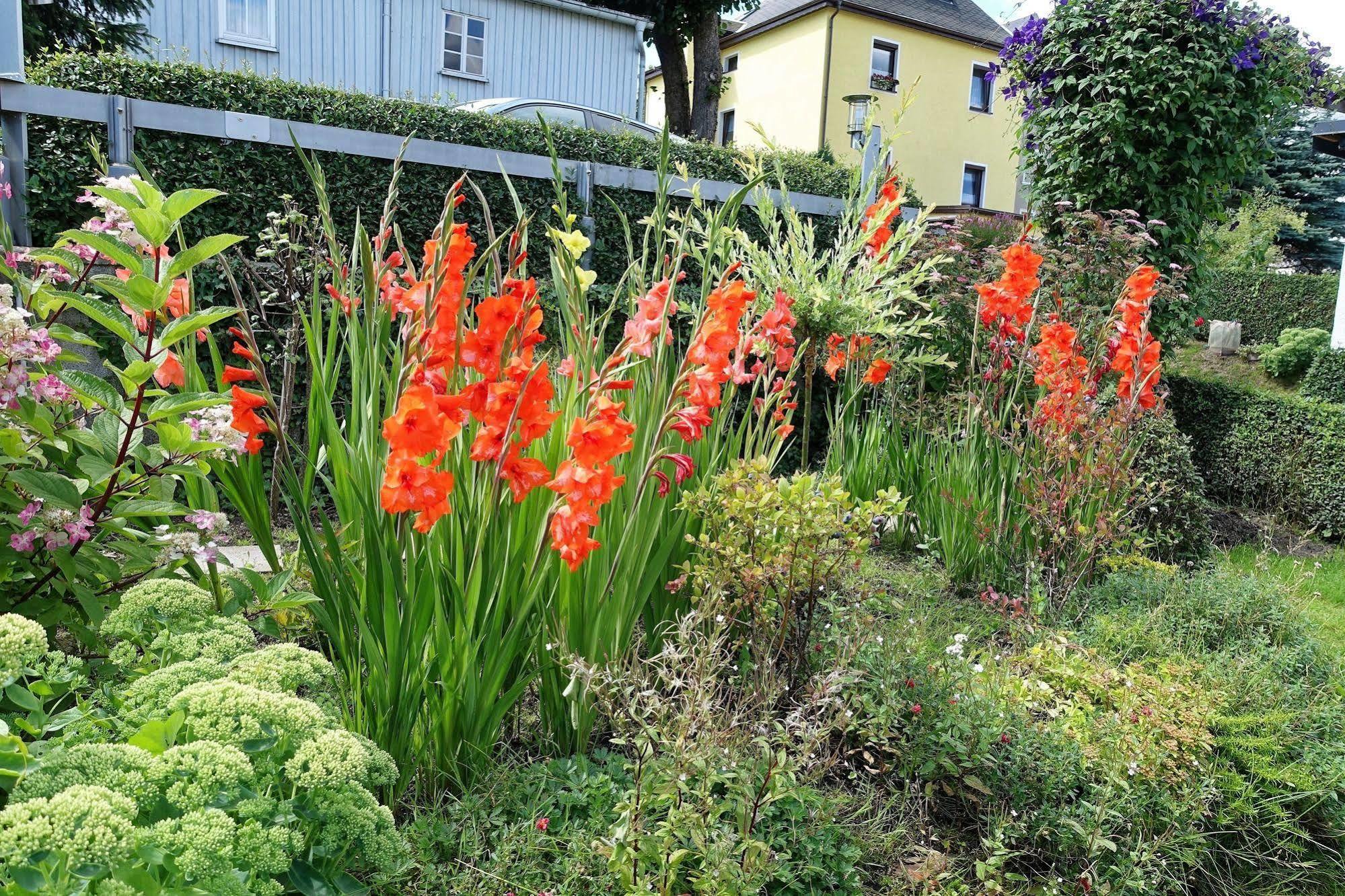 Ferienwohnung Haus Feig Geyer Экстерьер фото