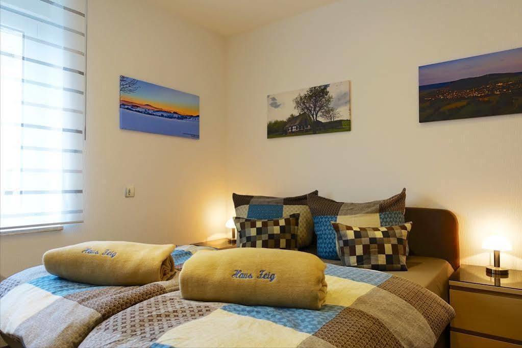 Ferienwohnung Haus Feig Geyer Экстерьер фото