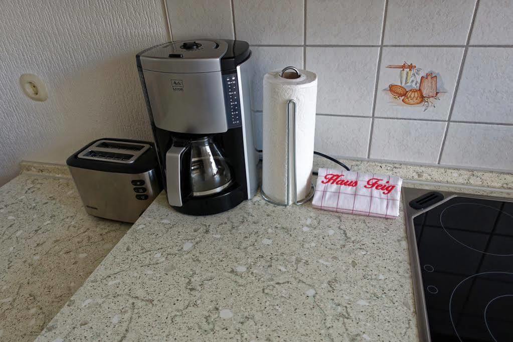 Ferienwohnung Haus Feig Geyer Экстерьер фото